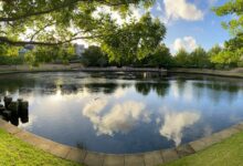 Lake Jualbup Shenton Park