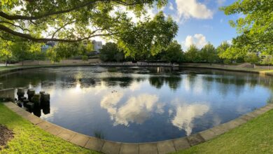 Lake Jualbup Shenton Park